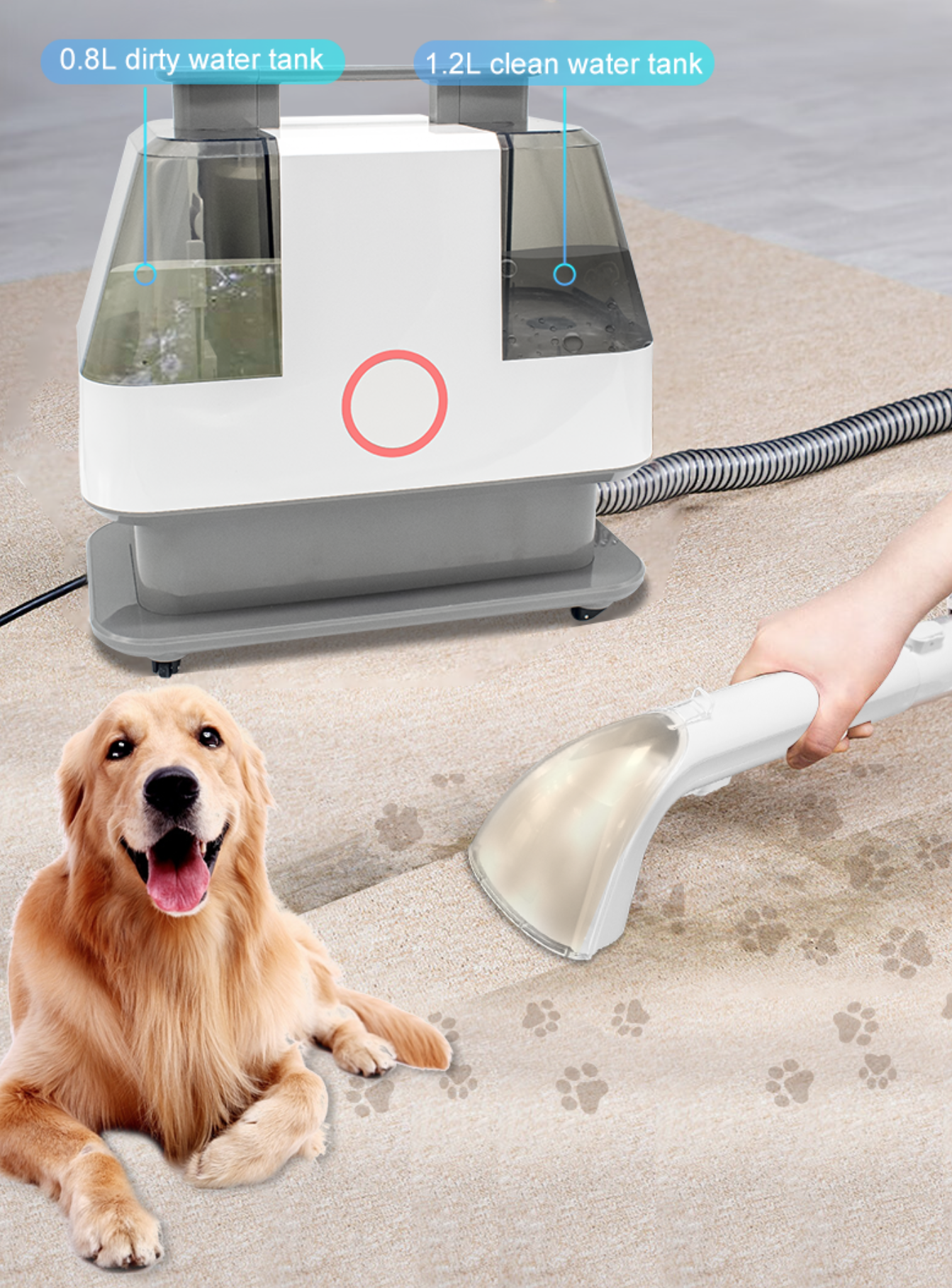 Remove tough pet stains with  strong spray and suction